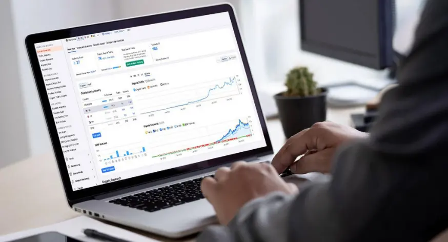 Local SEO analytics and Google search performance