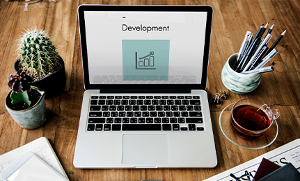 Web Development Services for business growth
